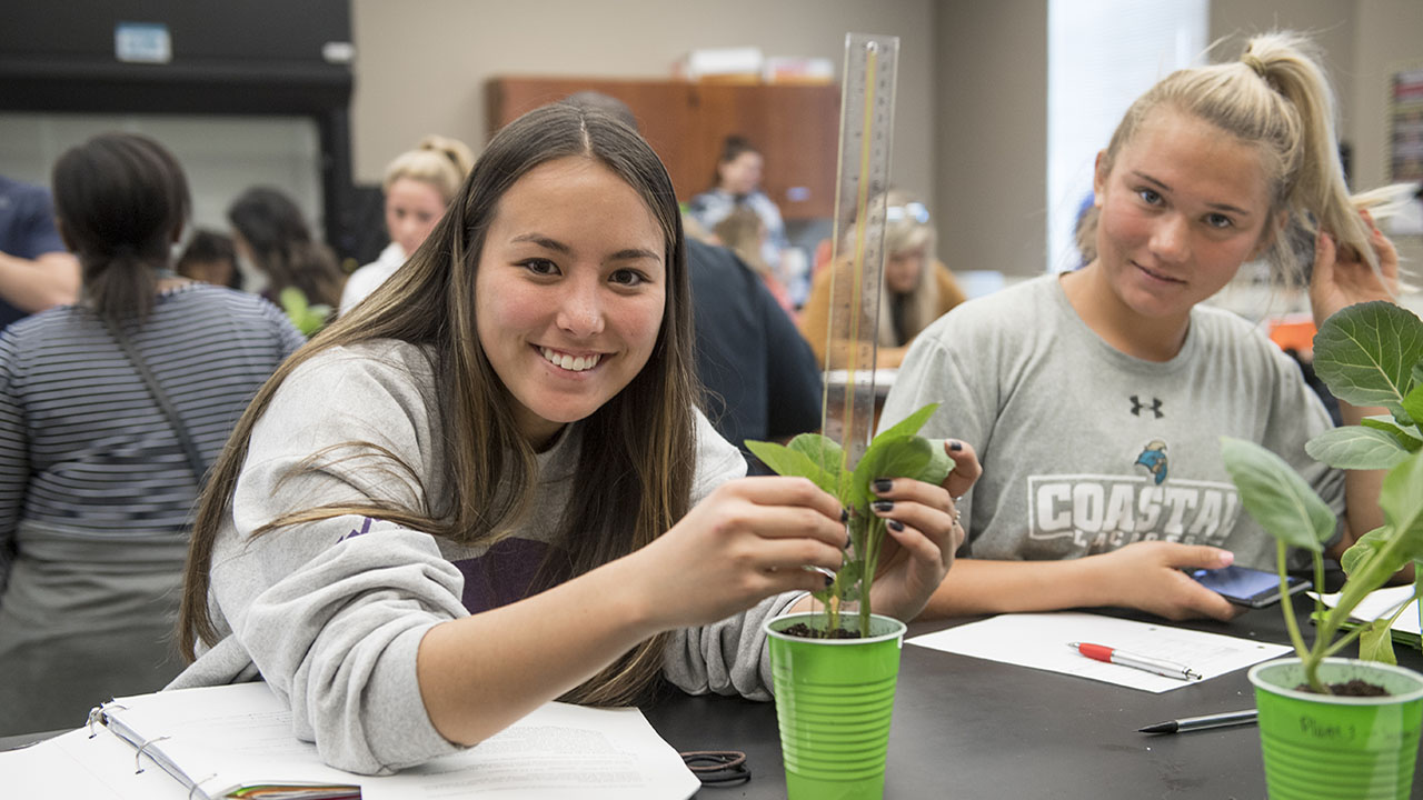 A student measures the height of a plant using a ruler during a hands‑on lab activity, while classmates work on similar plant experiments at the table.